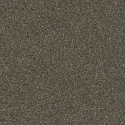 Stone Stipple carpet swatch